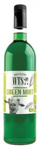 Сироп WTS?! (ВТС) - Зеленая мята 1л