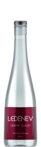 Ledenev (