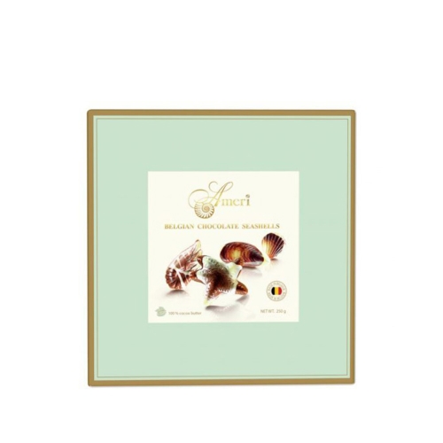 Шоколадные конфеты с начинкой пралине Ameri 250г