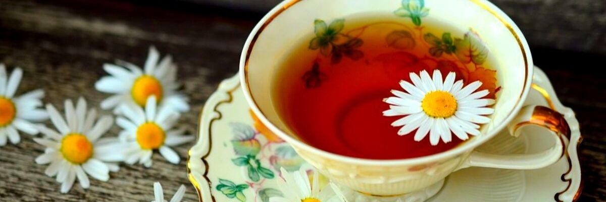 Летний чай: 5 лучших рецептов для заваривания