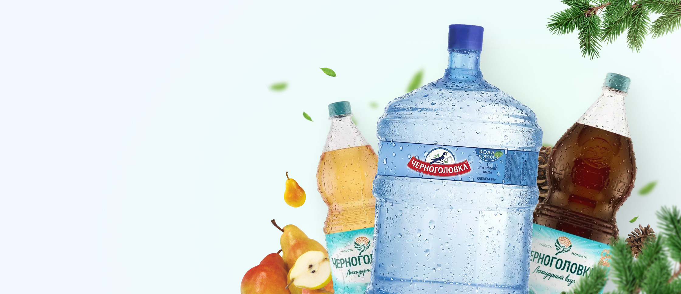 Выбирайте свою Черноголовку